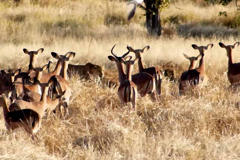 Namibia